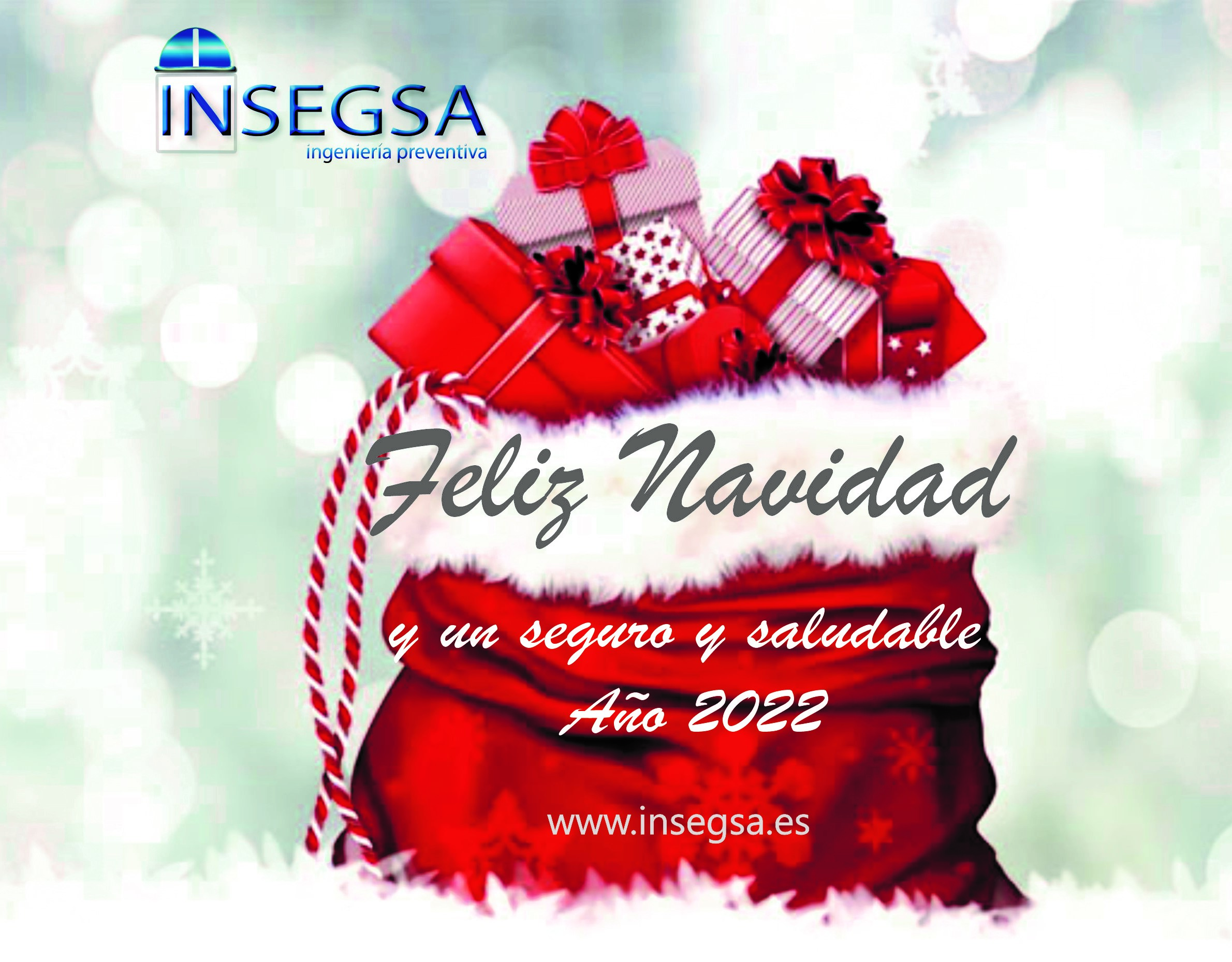 INSEGSA les desea ¡Feliz Navidad, y un seguro y saludable Año 2022!